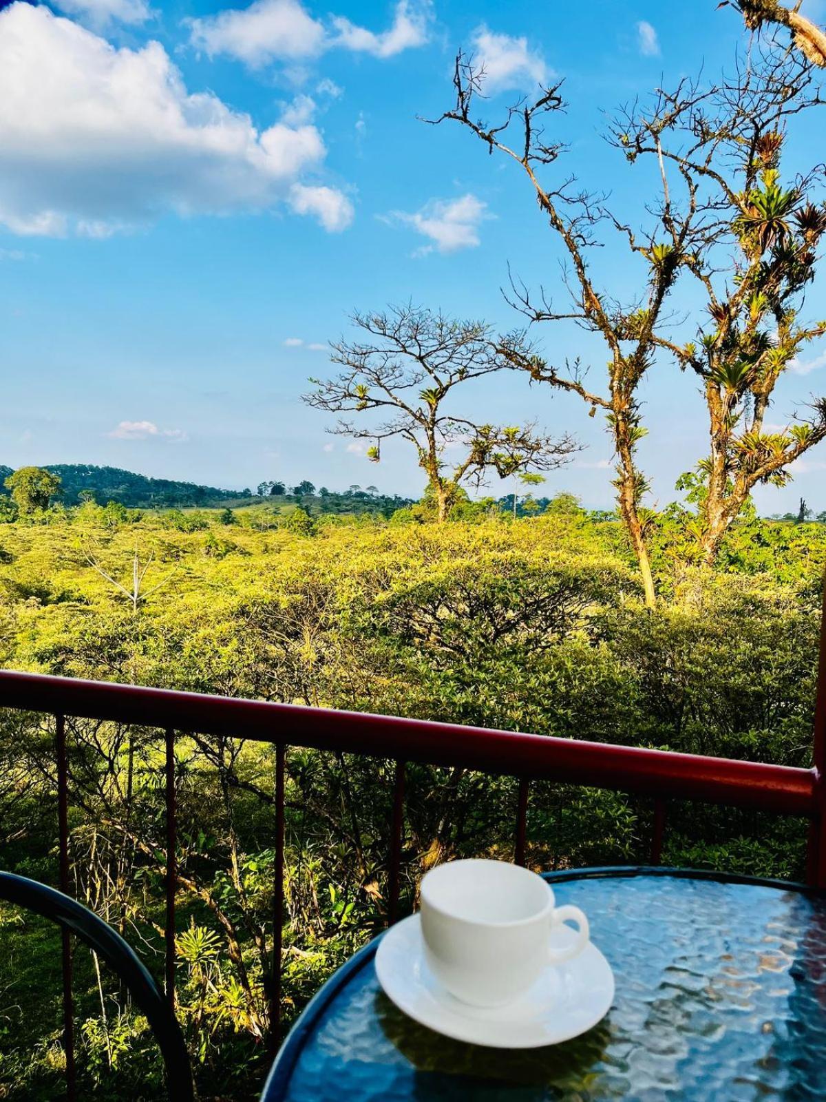 Garza Del Sol Glamping Rio Celeste Buganvilia Экстерьер фото