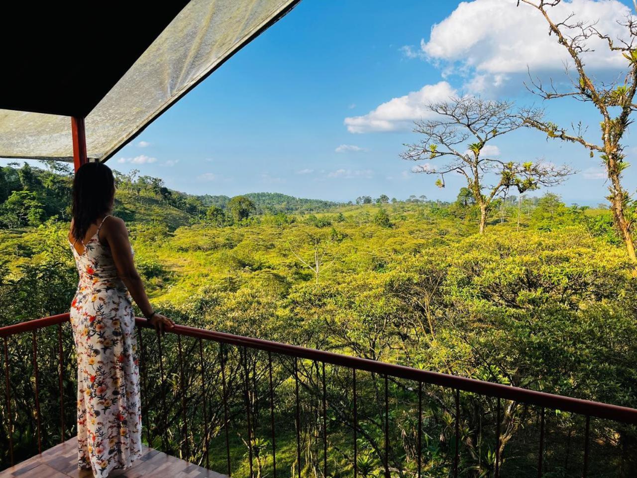 Garza Del Sol Glamping Rio Celeste Buganvilia Экстерьер фото
